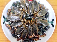 -莫华(锦绣趣园北街店)