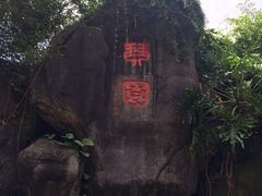 iphone_upload_pic-百鸟园