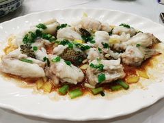 清蒸龙趸-东江海鲜酒家(艺都分店)