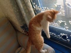 iphone_upload_pic-Sirena海妖日咖夜酒