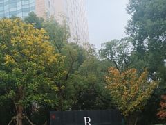 -上海漕河泾万丽酒店