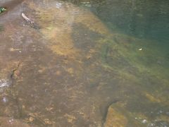 -宝天曼峡谷漂流