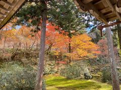 -三千院