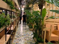-四季合味椰子鸡(南山大冲店)