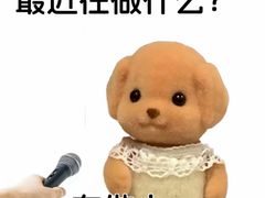 -御品轩(高新店)