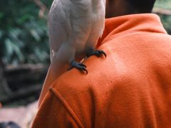 -普洱太阳河森林公园