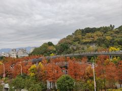 -福道