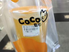 -CoCo都可(天河又一城店)