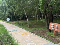 -吉林大学(前卫南区)
