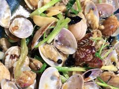 -蚝堡海鲜·威海菜·海肠捞饭·烧烤·亚洲吃蚝公司(幸福门店)