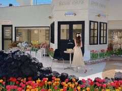 -Blue Concept Cafe&Farm·關於藍