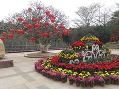 -广东茂名森林公园