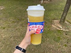 菠萝酪酪-LELECHA乐乐茶(新街口大洋店)