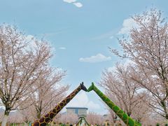 -云幽谷旅游区