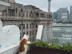 -船长酒吧 The Captain