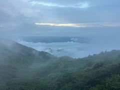 -大围山国家森林公园