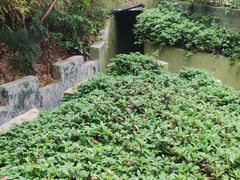 -大嶝英雄三岛战地观光园