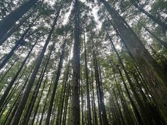 -山王坪喀斯特国家生态公园