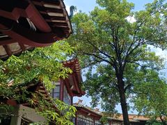 -东江渔村·古典园林·30年粤菜老字号(太和店)