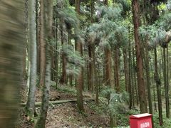 -山王坪喀斯特国家生态公园