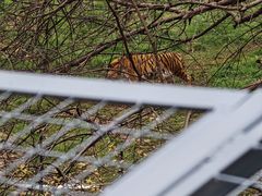 -合肥野生动物园