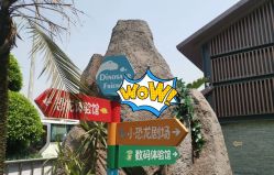 -恐龙探索乐园(磁器口店)