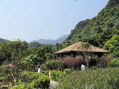-英德宝晶宫天鹅湖茶语温泉