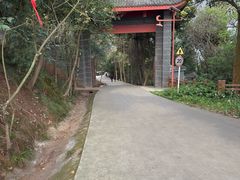 -成都老君山