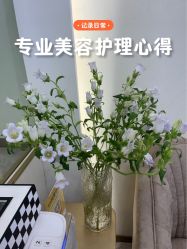 -MIDA蜜哒•科技逆龄美肤连锁