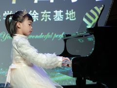 -武汉音乐学院徐东基地