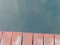 -九号公馆(秦岭路店)