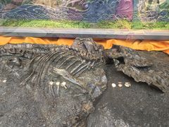 -诸城市恐龙博物馆