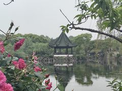 -无锡蠡湖国家湿地公园-蠡园