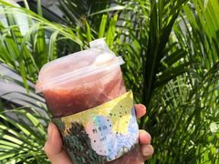-野萃山·潮汕厚果汁(十亩地店)
