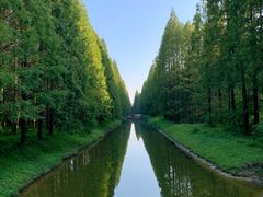 -黄海国家森林公园