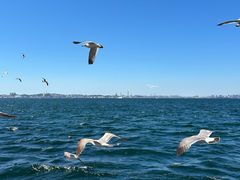 -大连海昌东方水城