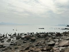 -深圳湾公园(南山区)