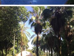 -佛山祈福仙湖酒店