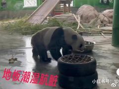 -临沂动植物园