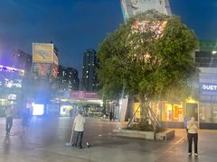 -证大大拇指广场(芳甸路店)