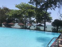 -卷心菜和避孕套餐厅(Pattaya)