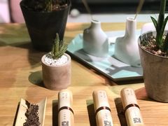 -柴务处·柴犬主题狗咖