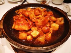 蚝汁花胶焖走地鸡-东富酒家(龙湖西溪天街店)