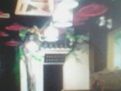 -蜀留香石锅鱼(六顺街店)