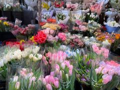 -循礼门鲜花花市(武汉循礼门店)
