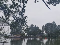 -东湖生态旅游风景区