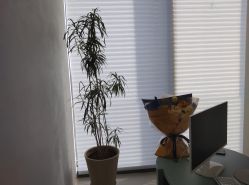 -颜蕾医美·黄金微针·水光·玻尿酸·超声炮·抗衰中心
