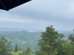 -老味道1992(武当山店)