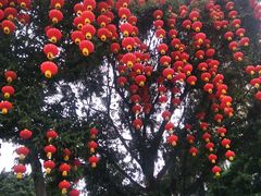 -晓港公园