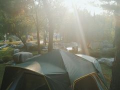 -羊亭河湿地公园